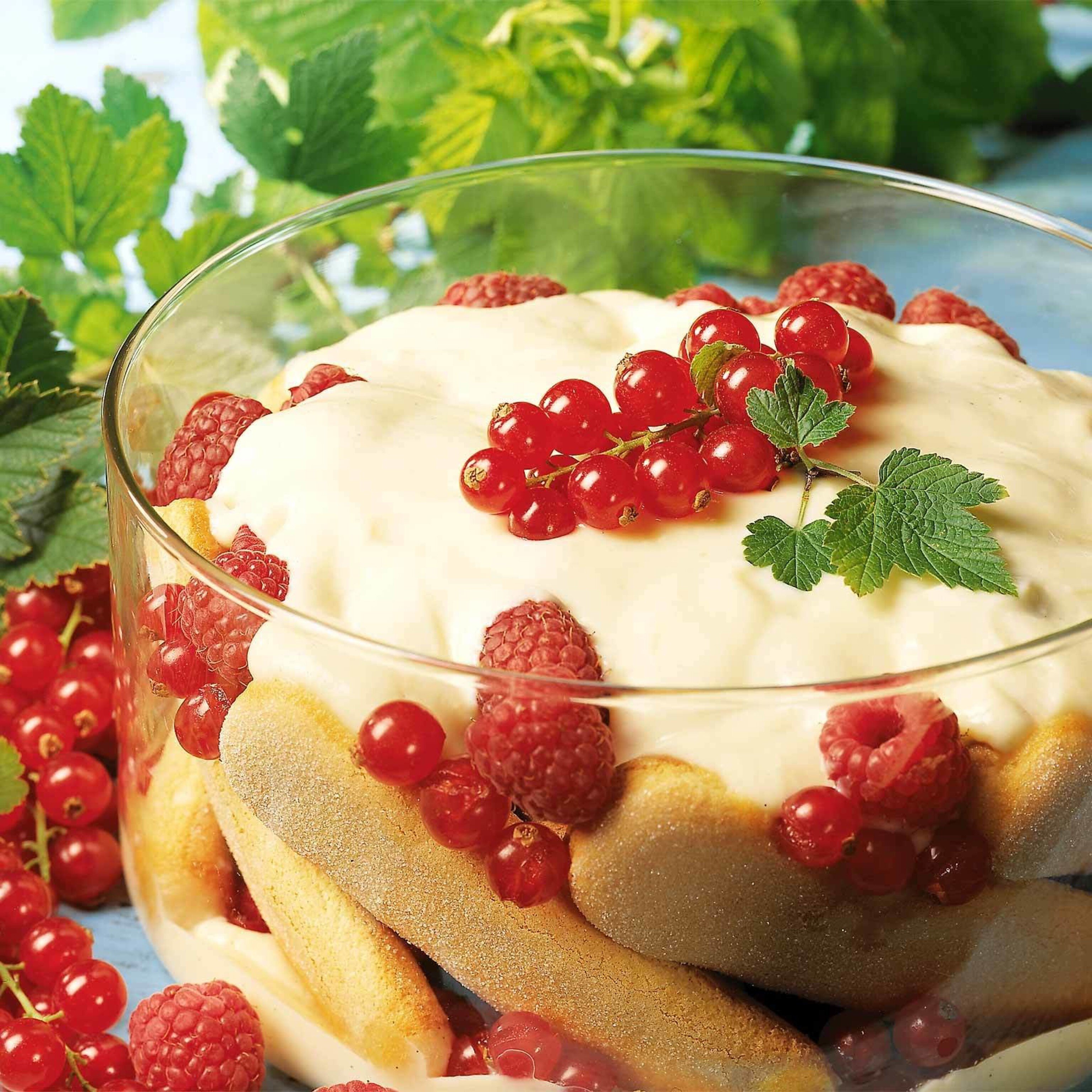 Beeren-Götterspeise