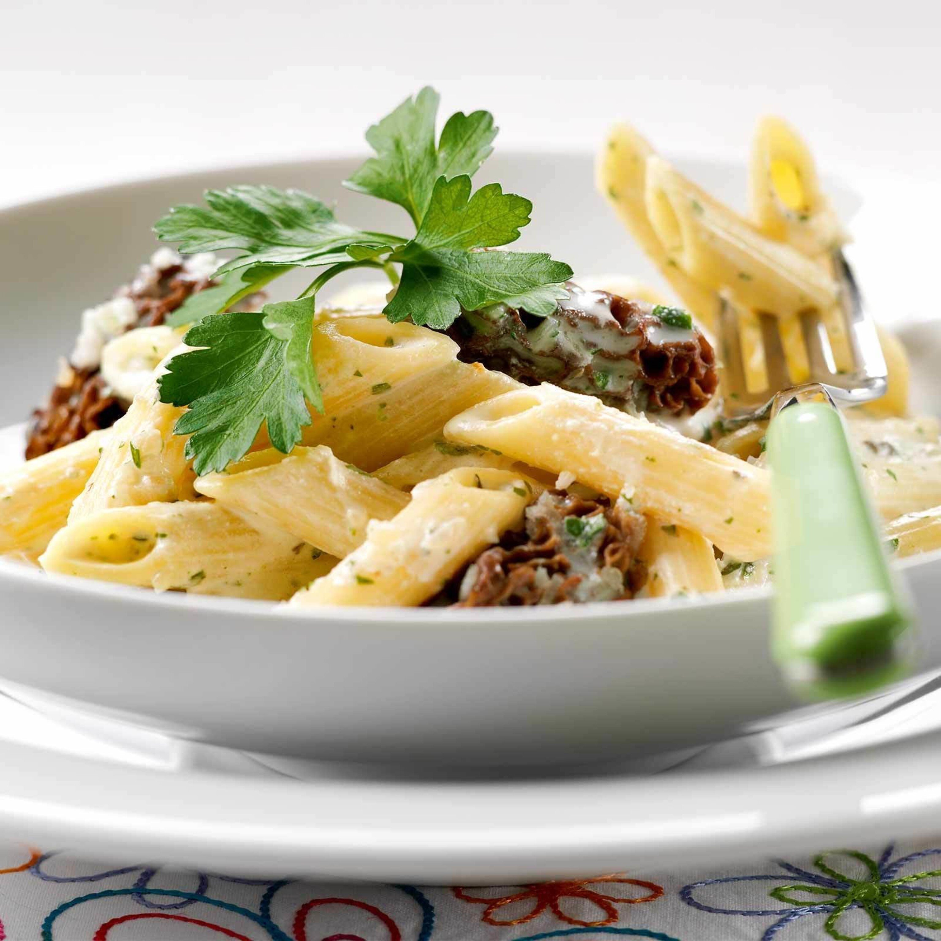 Penne mit Morcheln