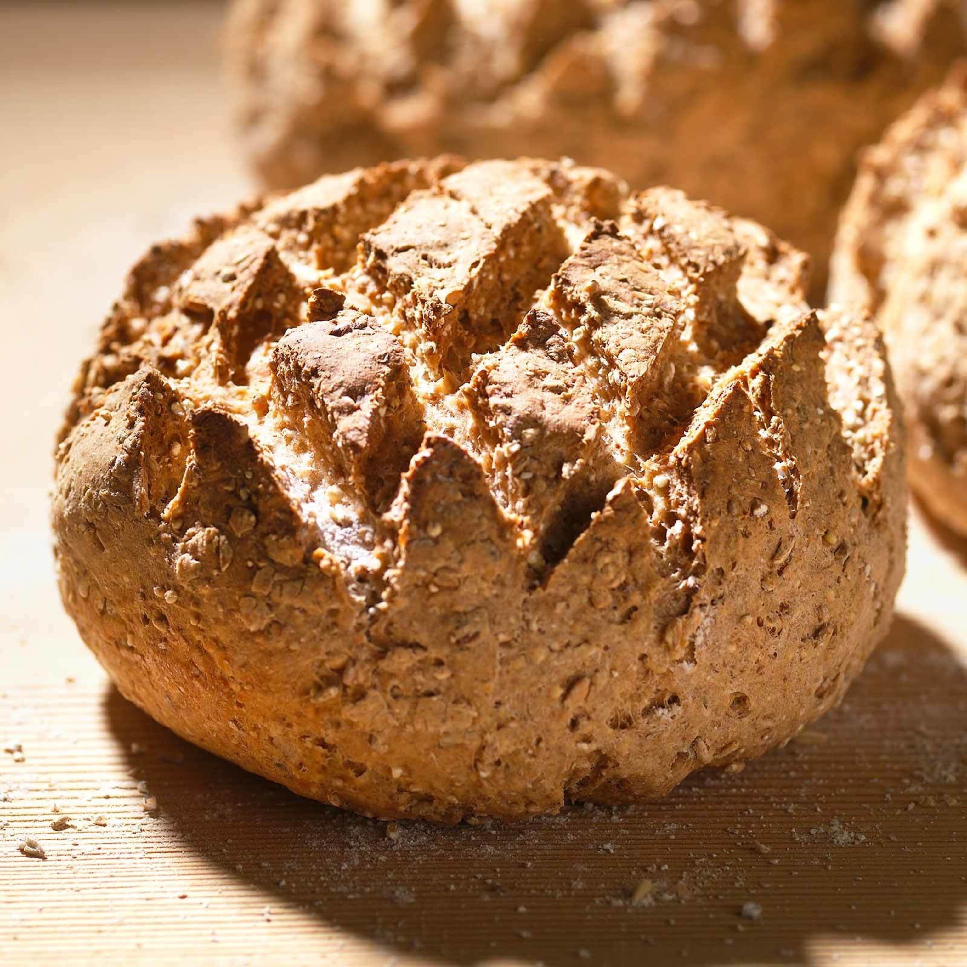 Samenbrot