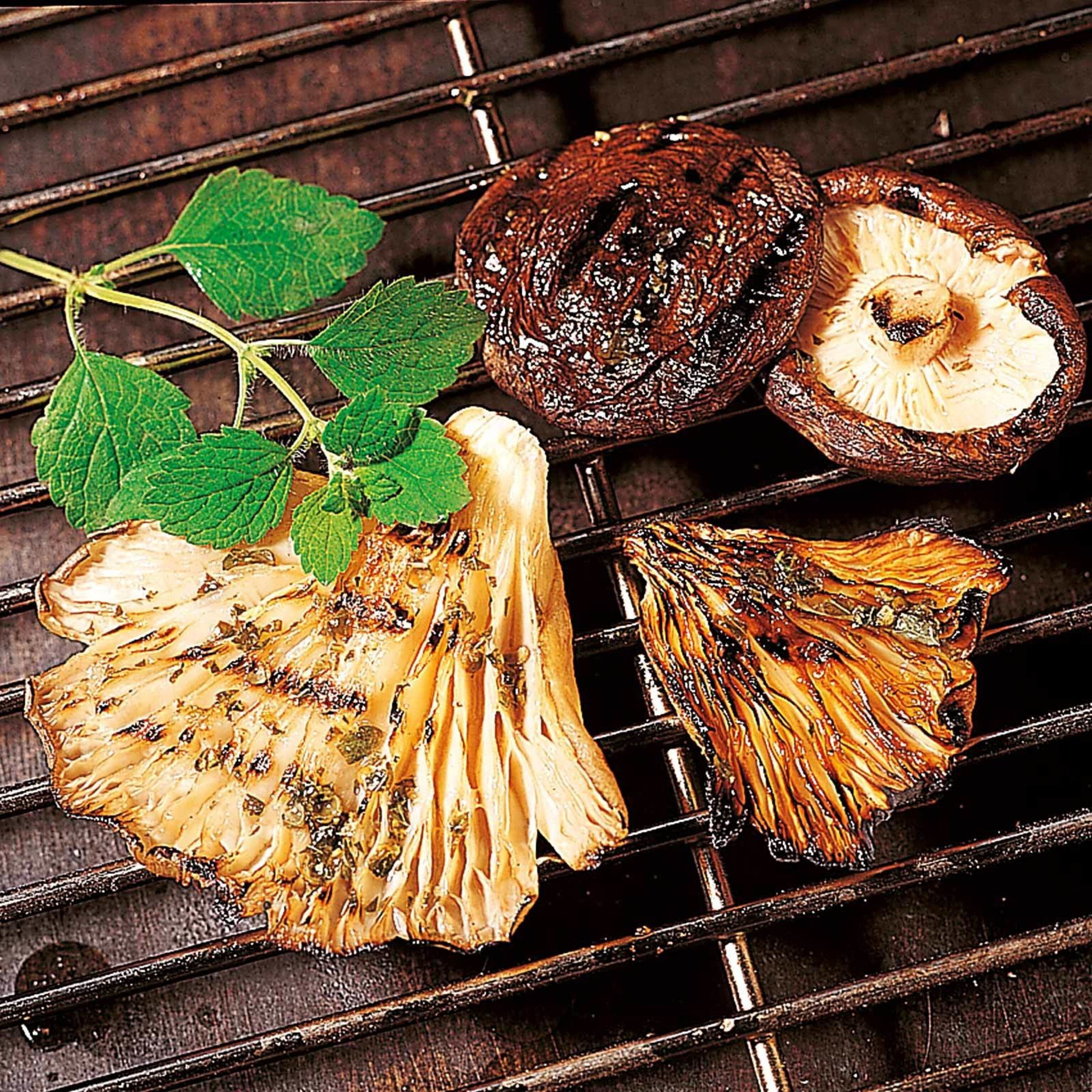 Pleurotes en huître et shiitakes marinés